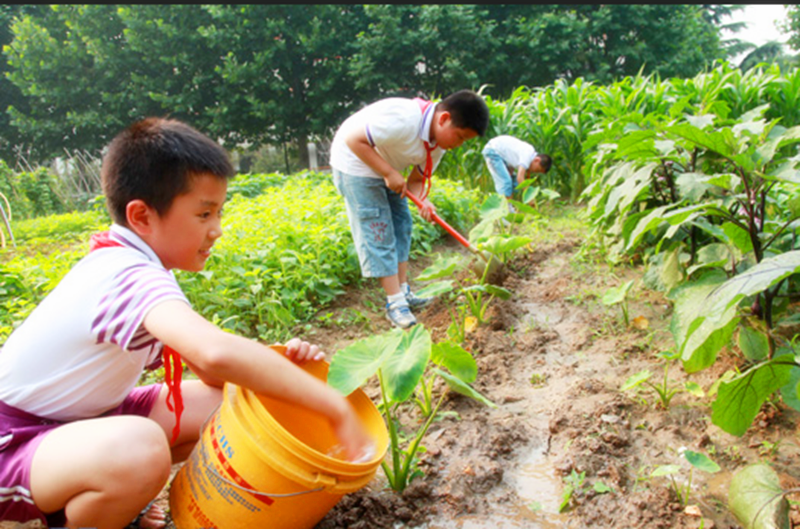 武汉乐农湖畔生态园亲子游植树浇水