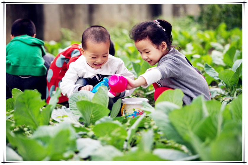 武汉乐农湖畔生态园武汉学生出游种植蔬菜