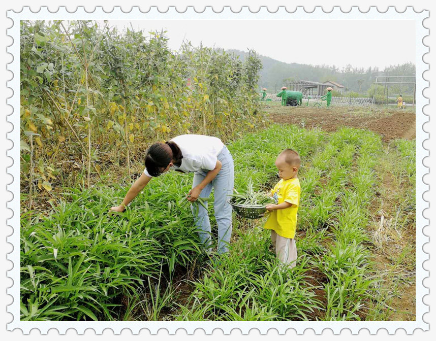 武汉乐农湖畔生态园中秋节休闲采摘果园